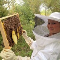 Bienen mieten und vom eigenen Honig naschen