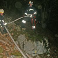 Schwieriger Löscheinsatz bei Waldbrand in Kollmitzdörfl