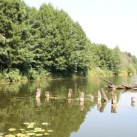 15-jähriges Jubiläum des Naturbadfestes in Kematen