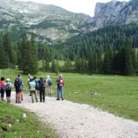 Klassenzimmer auf der Wurzeralm: Naturschauspiel in Spital am Pyhrn