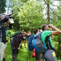 Vogelkundliche Fortbildung auf der Wurzeralm in Spital am Pyhrn