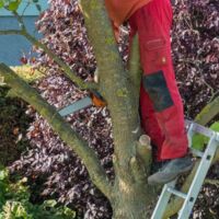 Vom Garten in die Notaufnahme: Unfallgefahr nicht unterschätzen