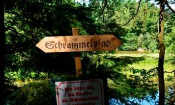 Eindrücke und Augenblicke des Schrammelklang-Festivals 2015. Fotos: Schacherl