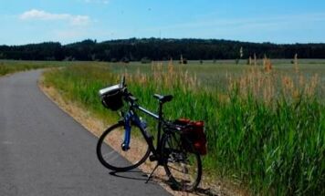 Einige Kilometer nach Göpfritz, am Horizont der Georgenberg