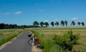 In der Nähe des Bergteichs kurz vor Groß Siegharts
