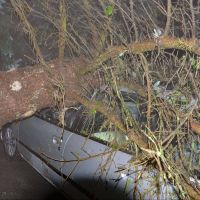 Schwere Verwüstungen nach Hagelunwetter im Bezirk Waidhofen