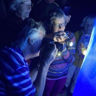 Schauleuchten am Taferlklaussee