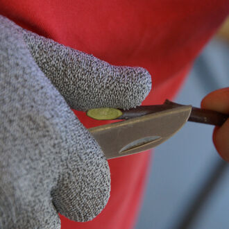Reiche Ernte und gesunder Baum durch die richtige Technik