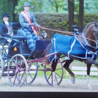 Franz Fleischmann ist Staatsmeister im Fahrsport
