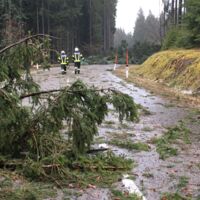 Sturmtief Sabine fordert Feuerwehren im Bezirk