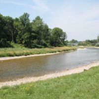 Fälle von Tierquälerei an der Ybbs in Amstetten