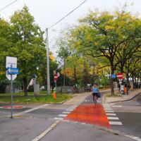Modernes Konzept mit alten Bäumen für den Hessenplatz