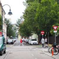 Neuer Baum-Masterplan für Innenstadt