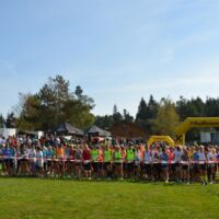 Das war der zweite FRAUENwieserLAUF