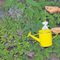 Gartentipp: Tausendsassa Kompost-Tee, leicht gemacht