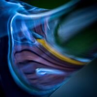 Neu: Fotografischer Salon in Schwarzenau