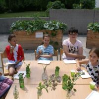 Ferienspiel an der NMS Stift Zwettl: Hundertwasser und duftende Kräuter