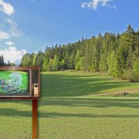 „Film ab“ - für euren Waldviertler Alltagsmoment