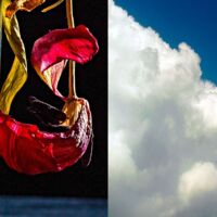 „Spiel der Wirklichkeit“: Fotoausstellung und Workshop