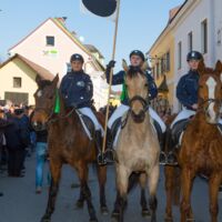 Pferde – Wirtschaft – Jahrmarkt: Josefimarkt in Königswiesen