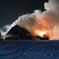 Brand in Pferdestall: Zwei Tiere verendet