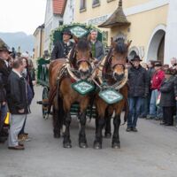 24. Josefimarkt in Königswiesen: Pferde, Wirtschaft, Jahrmarktstimmung