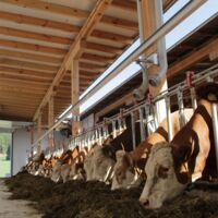 Milchabnahme-Angebot: Berglandmilch streckt Freie Milch-Bauern die Hand entgegen