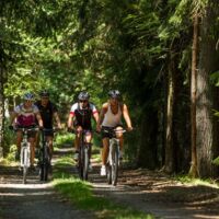 Mountainbiker überschreiten im Freiwald Ländergrenzen