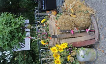 Bild 63