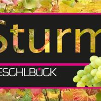 Sturmfest bei Winzerfamilie Eschlböck