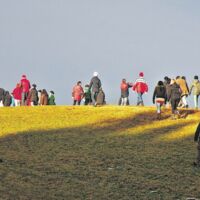 S10: Zwischen dem Drängen auf einen raschen Bau und ausreichend Schutzmaßnahmen