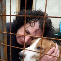 Hilfsprojekt: Eine zweite Chance für Hunde in Not