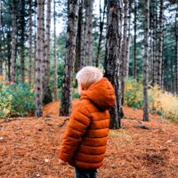 Vermisster Bub (5) überlebt drei Tage im Wald voller Bären