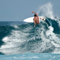 Dramatische Szenen: Tier-Attacke überschattet Surf-Event