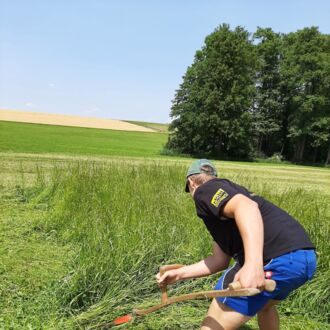 Bezirksentscheid Sensenmähen in Taufkirchen an der Pram