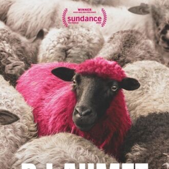 Sommer.Kino.Krenglbach - DJ Ahmet