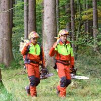 Die AUVA gibt Tipps für sicheres Arbeiten im Wald
