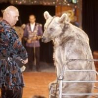 20 Jahre Bärenwald Arbesbach