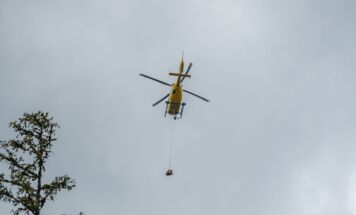 Bild 19