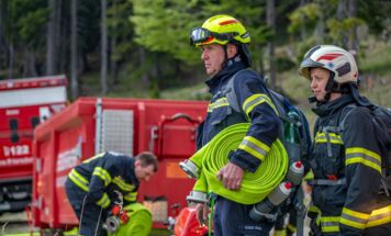 Bild 15