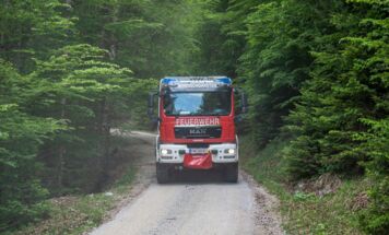 Bild 91