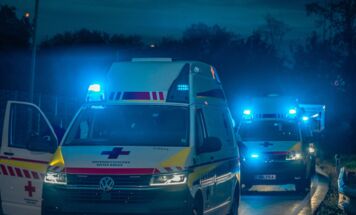 Bild 12