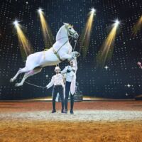 Cavalluna – Grand Moments: Spektakuläre Pferdeshow voller Magie und Emotionen