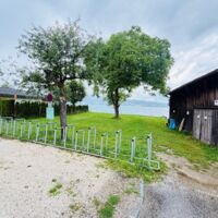 Neuer Hundebadeplatz in Weyregg am Attersee entsteht