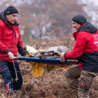 Weihnachtswunder in Kärnten: Fünf Hirsche finden auf Gut Aiderbichl ein neues Zuhause