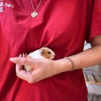 Gut Aiderbichl: Baby-Alarm in Iffeldorf – Pünktlich zur großen Wiedereröffnung am Valentinstag