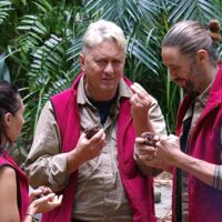 Dschungelcamp-Finale 2026: Gil, Hubert und Samira kämpfen heute Abend in der Ekel-Hölle um die Krone