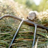 Tödlicher Arbeitsunfall in Waidhofen/Ybbs: 34-Jähriger stürzt in Futtermischwagen