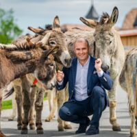 Gut Aiderbichl: Über 9.900 gerettete Tiere – neuer Höchststand zum 25-Jahr-Jubiläum