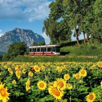 Mobilitätsoffensive Salzkammergut: Neue Gutscheine machen Öffi-Reisen für Urlauber jetzt besonders attraktiv